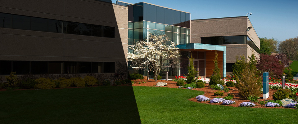 New Hyde Park Landscapers