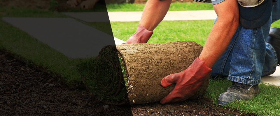 New Hyde Park Landscapers